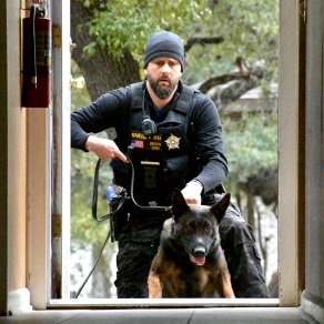 K9 Handler Training, Police Dog Trainer Course.